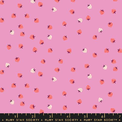 Strawberry Daisy per yard PREORDER