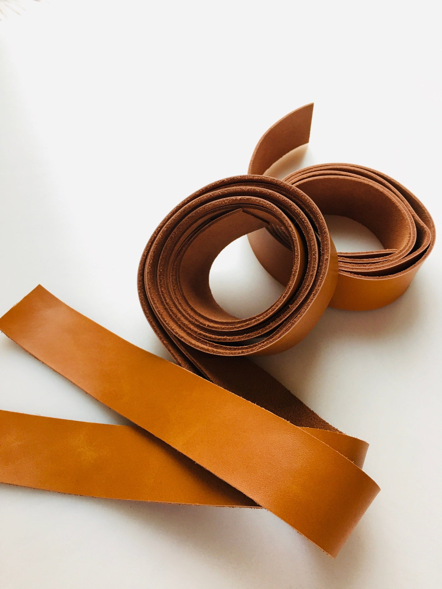 Brown leather strips coiled and laid out.