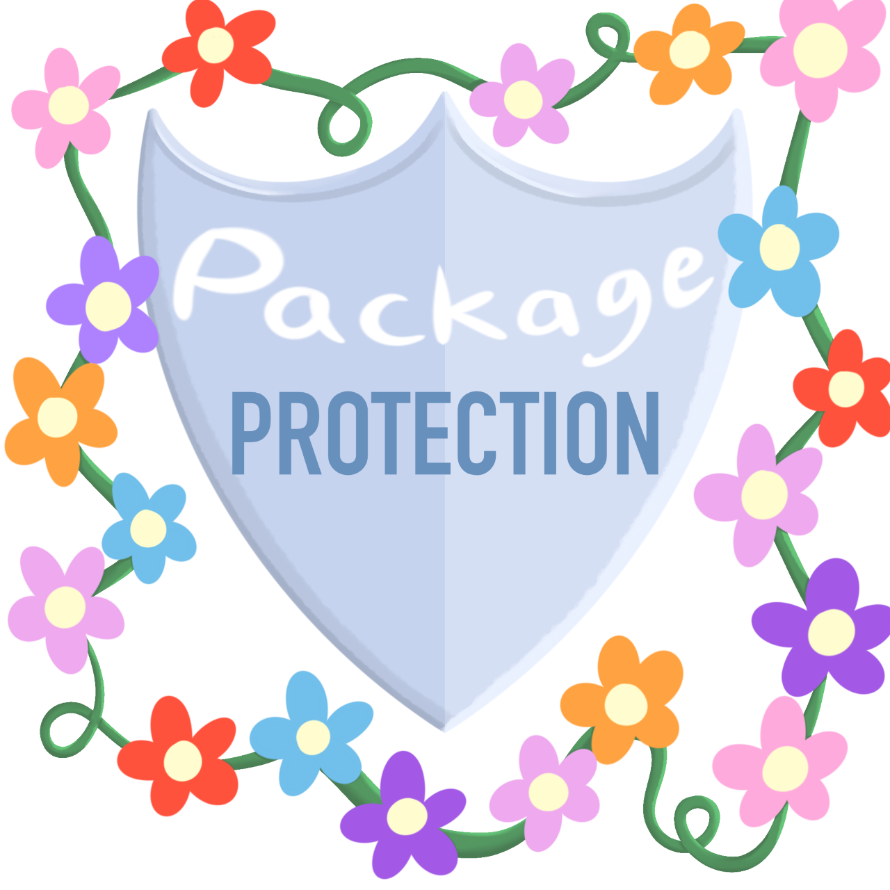 Package Protection - highly recommend