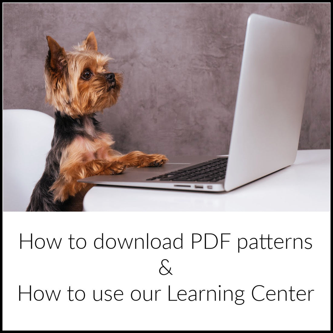 How to download PDF patterns & How to use the Learning Center