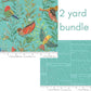 Paper Hamlet 2 yd bundle teal sky color