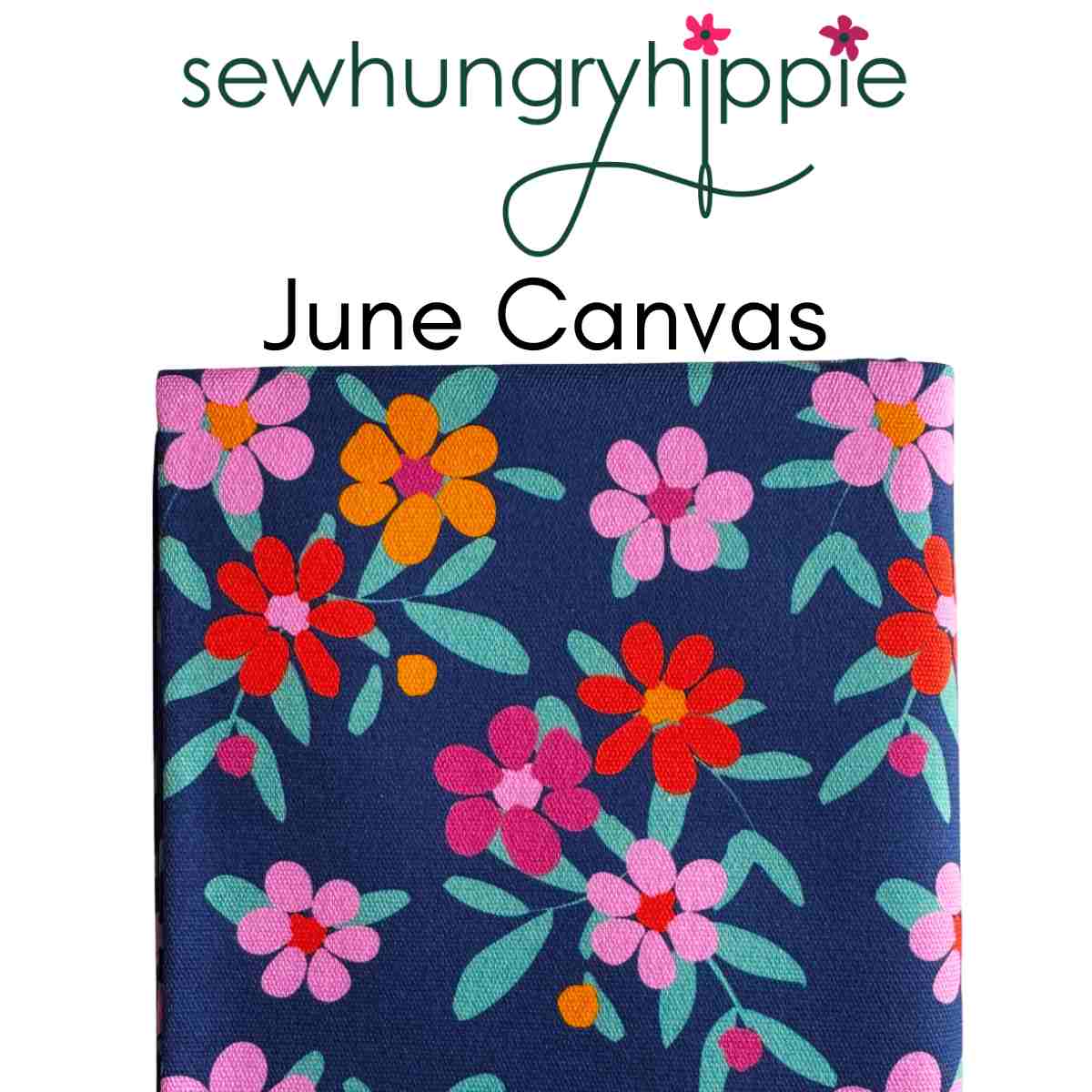 Canvas Club Subscription