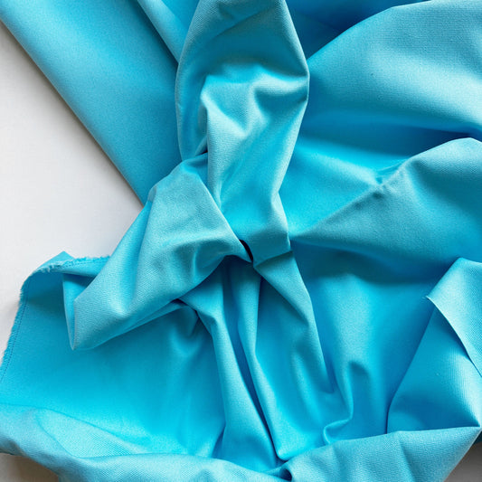 Close-up for Parrot Blue Canvas Fabric