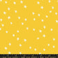 Ruby Star Society STARRY SUNSHINE 1 YARD