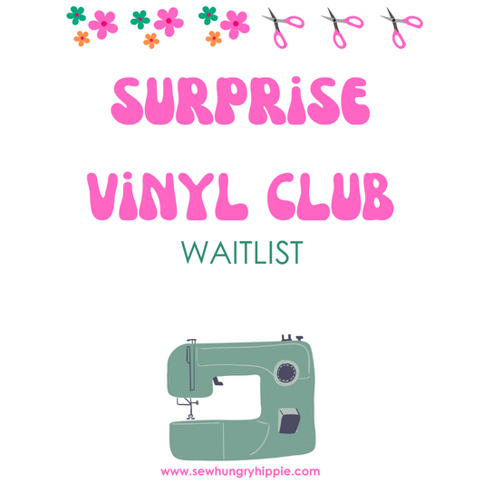 Surprise Vinyl Club 2025