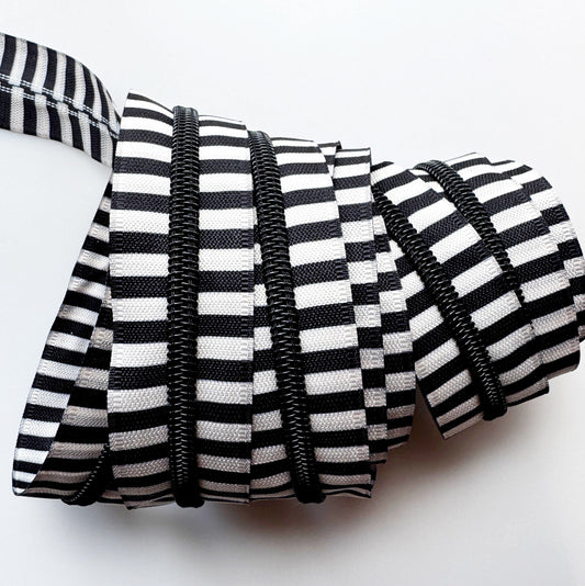 Black and white striped zipper with black nylon teeth shown coiled on a plain white background.