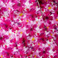 Close-up of pink floral pattern