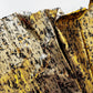 Detailed pattern and texture of gold and black printed fabric material