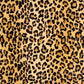 Shannon Luxe-Cuddle Leopard 1/2 YD
