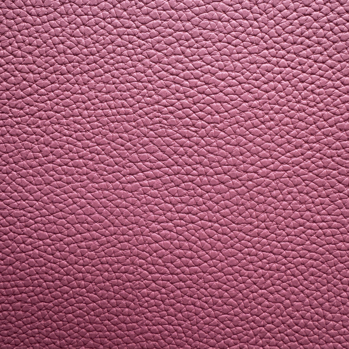 Close-up of a textured pink leather surface