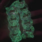A video of a glow-in-the-dark neon green acrylic chunky chain strap held in hand.