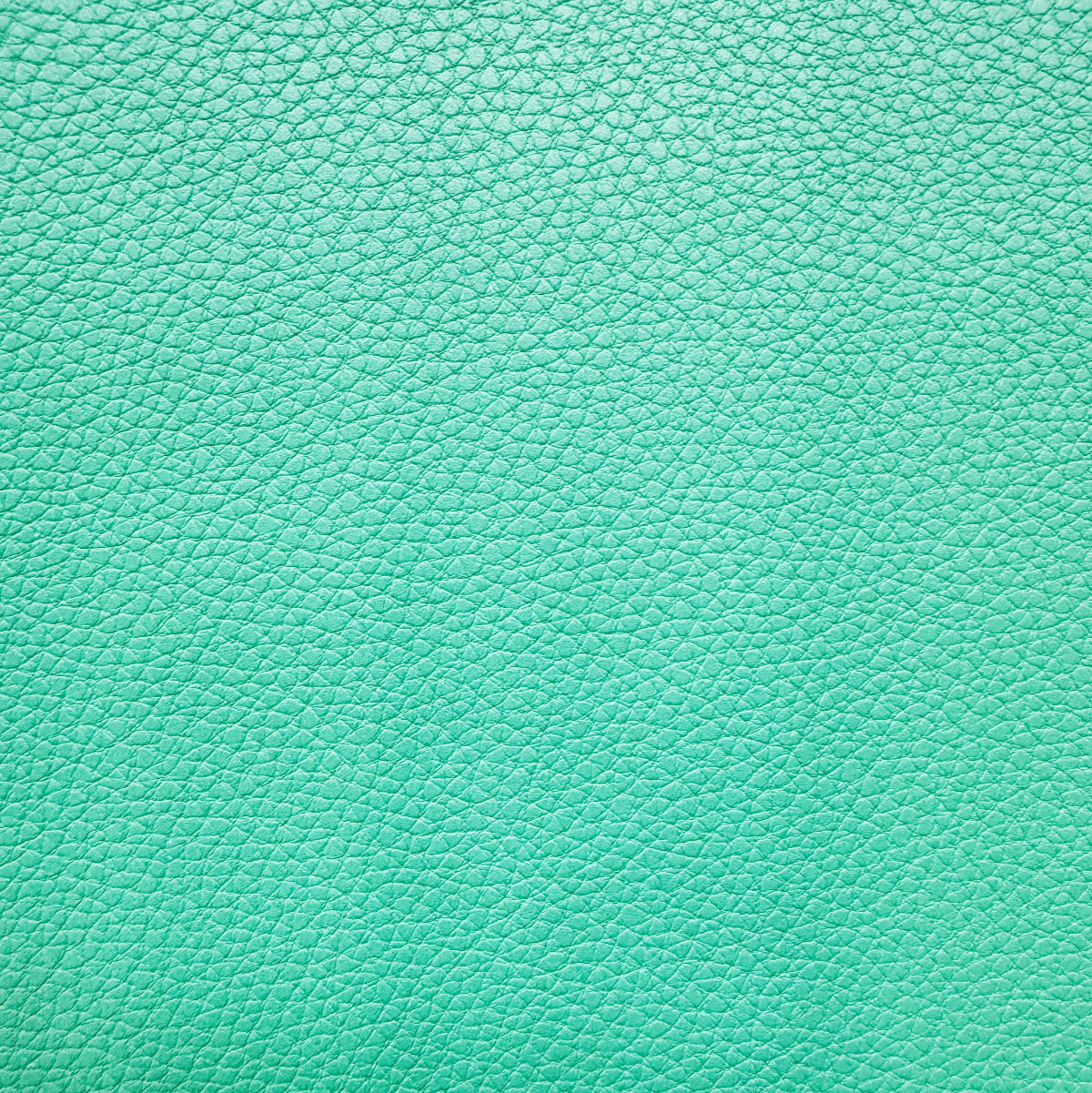 A close-up of a mint green pebbled leather texture filling the entire frame.