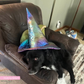 Witchy Hat Printed Sewing Pattern
